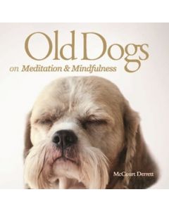 OLD DOGS ON MEDITATION AND MINDFULNESS