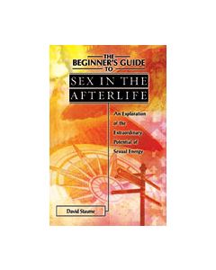 BEGINNERS GUIDE TO SEX IN AFTERLIFE