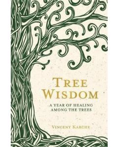 Tree Wisdom: A Year of Healing Among the Trees