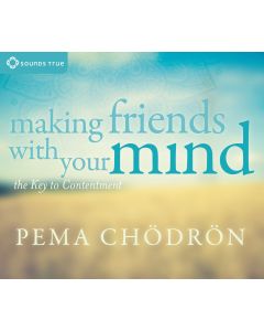 Making Friends With Your Mind (4CD) *