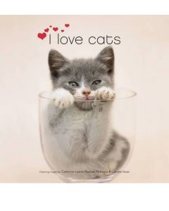 I LOVE CATS