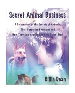 SECRET ANIMAL BUSINESS