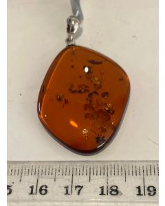  Baltic Amber Pendant AAC01