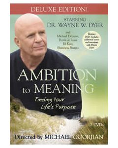 Ambition to Meaning deluxe ed