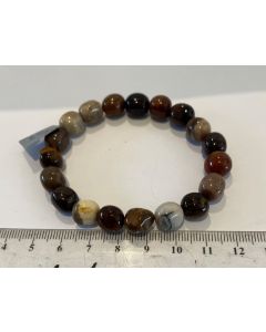 Petrified Wood Bracelet CC508