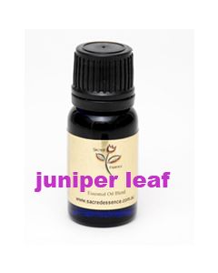 juniper leaf essential oil
