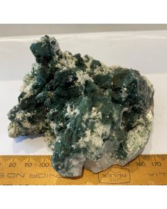 Marshy Apophyllite Cluster Natural Chlorite FL530