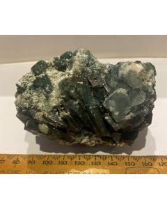 Marshy Apophyllite Cluster Natural Chlorite FL543