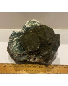 Marshy Apophyllite Cluster Natural Chlorite FL544