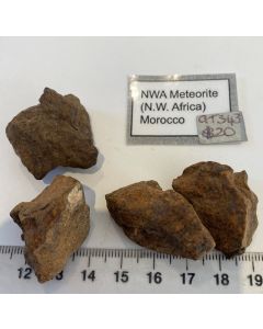 NWA Meteorite GT343