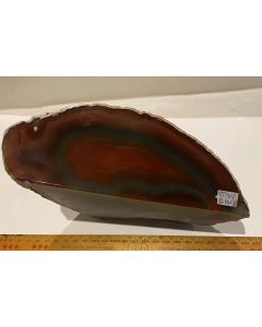  Agate Slices GT381