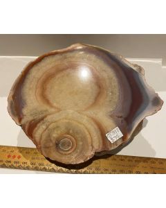 Agate Slices GT397