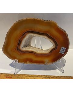  Agate Slices GT406