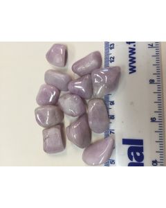 Kunzite Tumbled Stone IEC96
