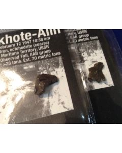Sikhote-Alin Meteorite CW116