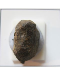 Iron Meteorite - Mundrabilla A667