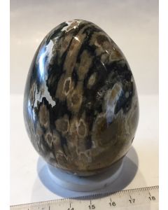 Ocean Jasper Egg MBE410