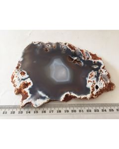 Agate Slices Natural MM575