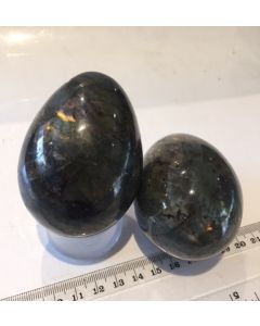 Labradorite Egg MM597
