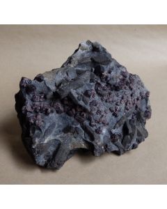 Staurolite and Garnet CM60