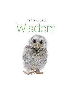 Little Book of Wisdom