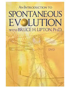AN INTRODUCTION TO SPONTANEOUS EVOLUTION
