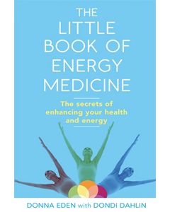 Little Book of Energy Medicine