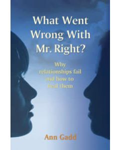 WHAT WENT WRONG WITH MR RIGHT