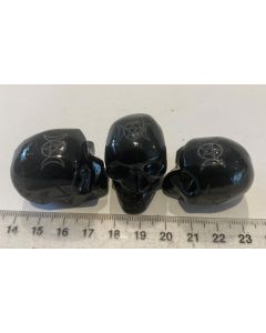 Onyx  Skull WIA20