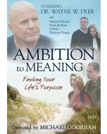  Ambition to Meaning