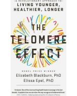 Telomere Effect, The