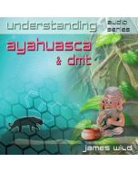 Understanding Ayahuasca & Dmt