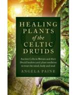 Healing Plants of the Celtic Druids