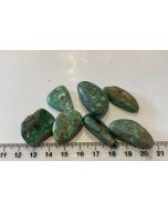 Variscite Tumbled Stone CC483