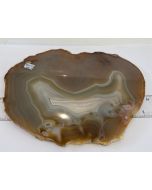  Agate Slices Large Natural CCC154