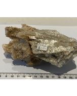 Gypsum Selenite specimens CW216A