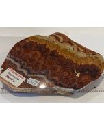Stromatolite Slab CW258
