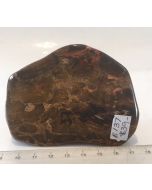 Petrified Wood Slice E137