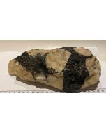 Actinolite in Clear Quartz E203