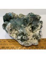 Marshy Apophyllite Cluster Natural Chlorite FL531