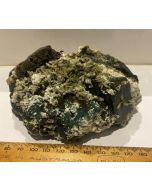 Marshy Apophyllite Cluster Natural Chlorite FL545