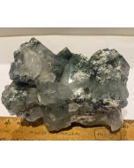 Marshy Apophyllite Cluster Natural Chlorite FL546