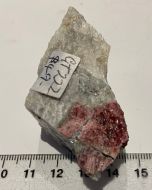 Eudialyte Rough GT222