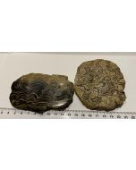Stromatolite Slads MBE560