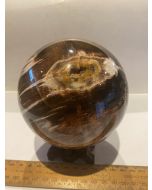 Petrified Wood Sphere MBE939