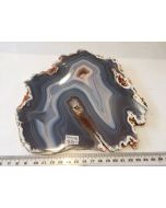  Agate Slices Natural MM574