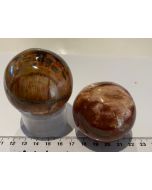 Petrified Wood Sphere MM696
