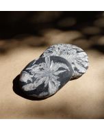 Chrysanthemum Flat Stone CC139