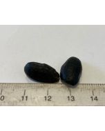  Nullarbor Plain Meteorite Small ROF29