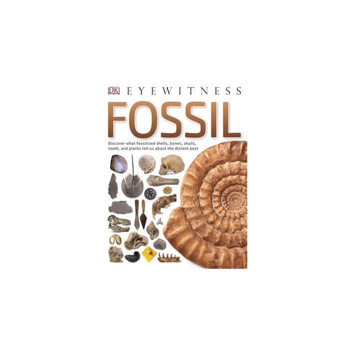 DK Eyewitness: Fossil